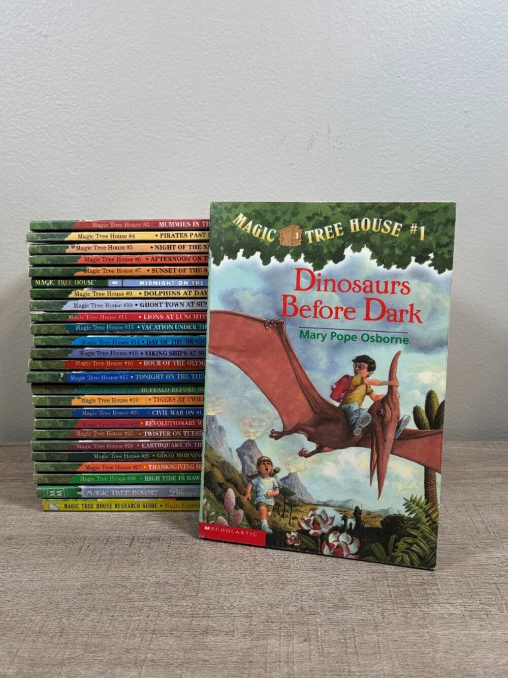 Magic Tree House 26 Book Lot Mary Pope Osborne